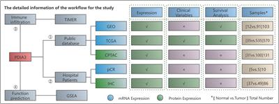 Protein disulfide isomerase A3 as novel biomarker for endometrial cancer